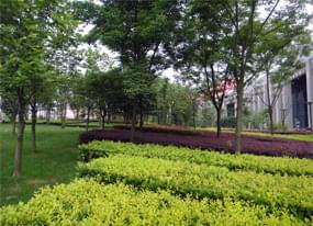 西安市政綠化