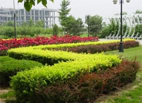 重慶市政綠化